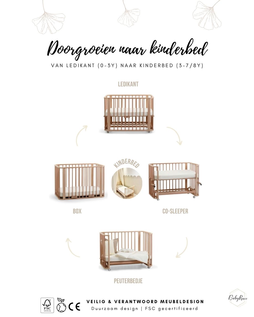 houten doorgroeiledikant babyrace